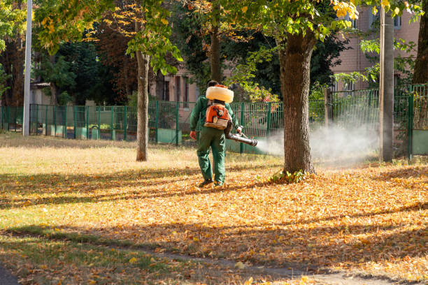 Best Residential Pest Control  in East Marion, NY